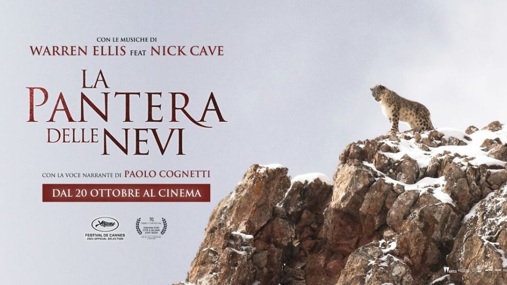 La pantera delle nevi