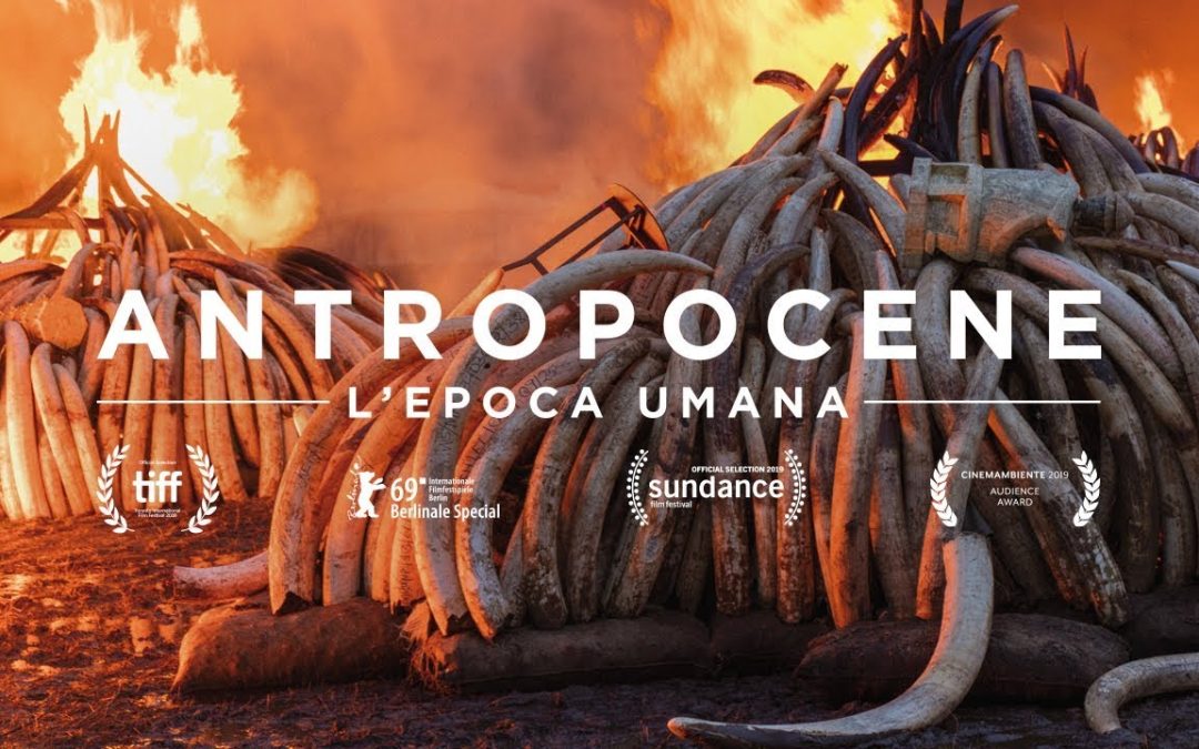 Antropocene – L’epoca umana – SALA VIRTUALE